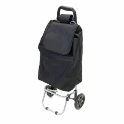 Frozen Chariot De Marche