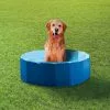 Scooby-Doo Piscine Pour Animaux