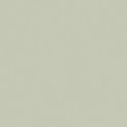 Superfresco Papier Peint Uni Sauge - ARTHOUSE