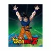 Xbox Cadre 3d Power Levels Dragon Bal - DRAGON BALL Z -Cadeaux Halloween Magasin 490501 large default